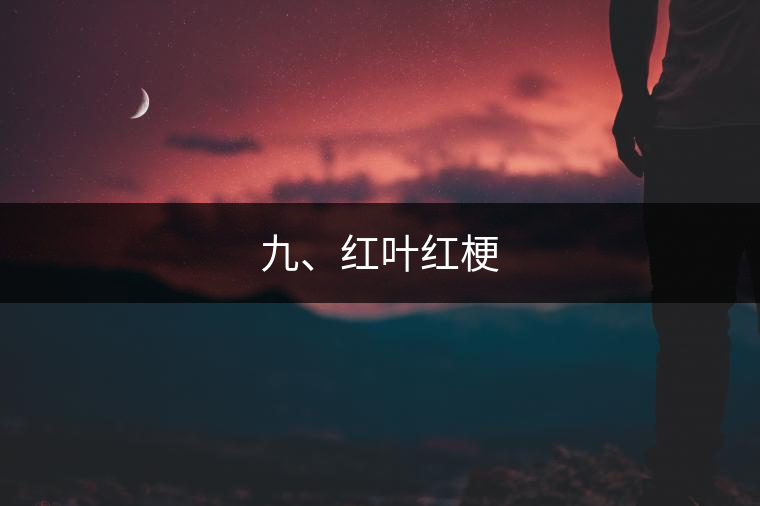 九、紅葉紅梗