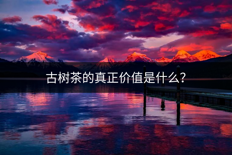 古樹茶的真正價(jià)值是什么？