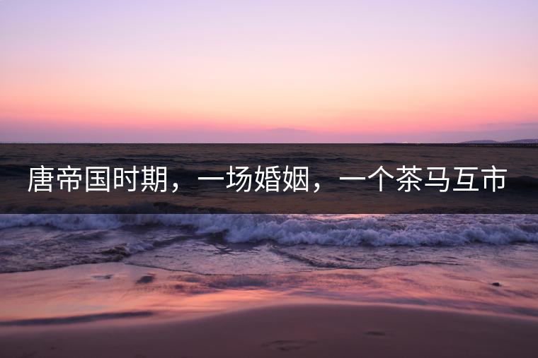 唐帝國時期，一場婚姻，一個茶馬互市，讓這里結束了漢藏對峙。宋代南茶北，西北茶馬司設立，因茶而改變的生活日益凸顯。元代八思巴與忽必烈在這一區(qū)域結盟，為蒙藏兩大民族交往鋪好通衢大道，明代俺答汗與達賴在山海之間追思各自先人，青海人宗喀巴創(chuàng)建的黃教通過蒙、藏兩大領袖的推廣，締造了影響至今的格局。大清經過康、雍、乾三代勵精圖治，滿、藏、蒙各自龐大的疆域第一次完整地統(tǒng)轄在中央帝國的版圖下。