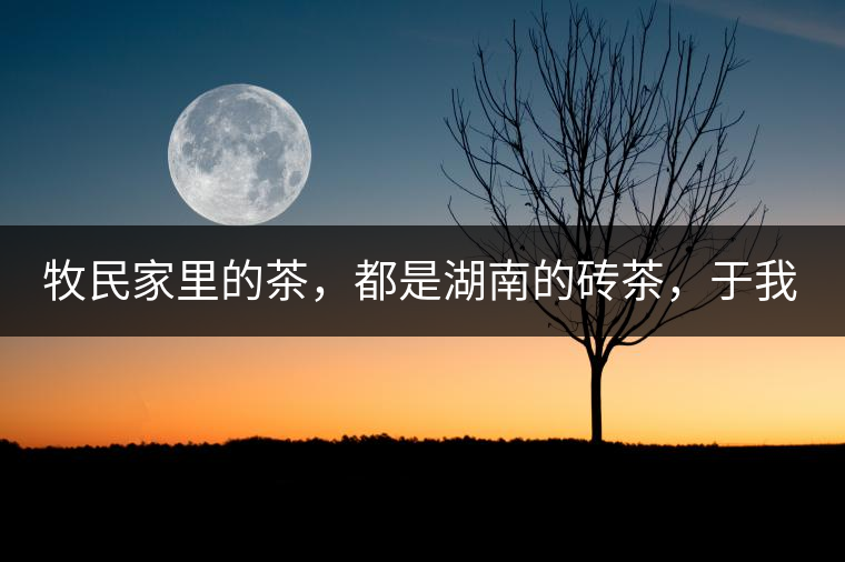 牧民家里的茶，都是湖南的磚茶，于我們而言不見得有多好，它們粗糙得看可見茶梗和樹枝，但于他們來說，卻是每日的生活必需品。端到桌上的茶碗，也是缺了口鋦過青花瓷碗，聞得見修補后的手溫，喝下加過鹽巴的磚茶，一身暖意，融化了深藏在發(fā)底的冰屑，溫暖著身心。