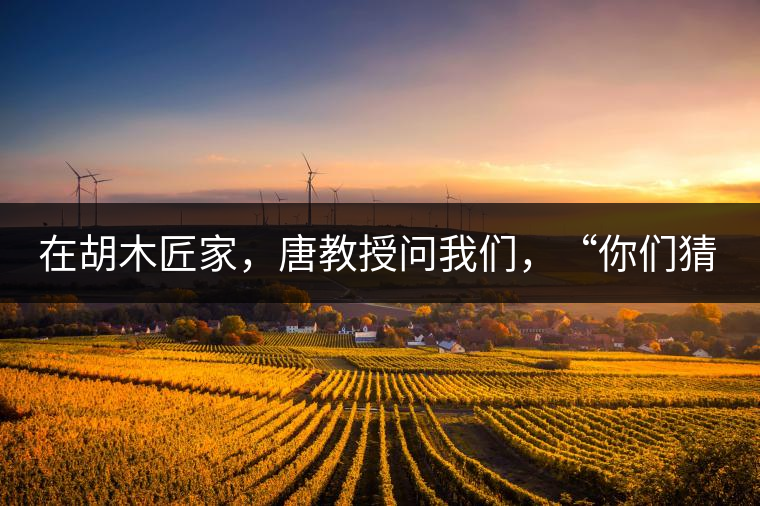 在胡木匠家，唐教授問我們，“你們猜猜他們家的茶放在哪里？”我們回答廚房、客廳都不對，“難道像寺院一樣，有專門的茶房不成？”教授和木匠都哈哈大笑，連連搖頭。在木匠的帶領下，我們來到主人的臥室，茶磚整齊有序地堆放在床頭柜里。一家之主的臥室，既是休息之所，亦是一家財富與傳家寶的收藏地。茶之精貴，毋需多言。