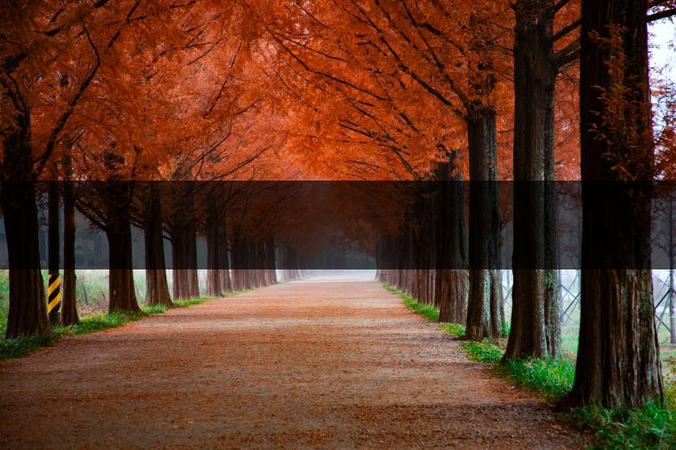 這樣的茶葉邊疆文化，也許是明代大學者解縉最樂意見到的。他曾說，中原最好的東西就是茶，而番人最好的就是馬。他贊同明廷茶馬互市的國策：茶之于夷人，如同中國之酒醴，因為茶馬貿易，許多夷人也開始學習中國的知識，對中國也有了向慕之心，那么茶的作用就很顯然，茶有著“夷夏之交，義利之辨，寅賓尚忠信而篤敬，河州固唐虞三代之邦也?！?茶不僅僅是一種飲品，還有其他。茶作為媒介，體現了觀念的變化。如今，隨著茶的傳播，各族人民有了更深入往來，通過貿易、文化、旅游等等。
陳渠珍從西藏抵達湟源區(qū)域時，也為這里的古風所震驚：“余皆漢番雜處。風俗婦女尚餞足，裙下蓮步不及三寸，服飾既古，文化尤卑，鄰居為私塾，當見一生久讀不能成誦，塾師罰之跪，以草圈罩頭上，頻加籌石，令其跪誦。余見駭然?！?
?
（摘自《海峽茶道》，2013年5期）