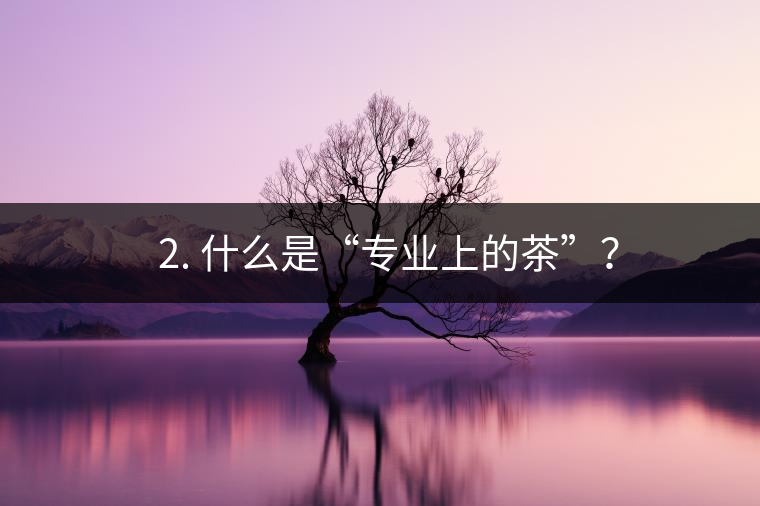 ? 2. 什么是“專業(yè)上的茶”？