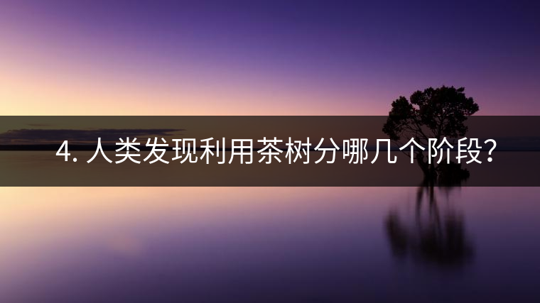 ? 4. 人類發(fā)現(xiàn)利用茶樹分哪幾個階段？