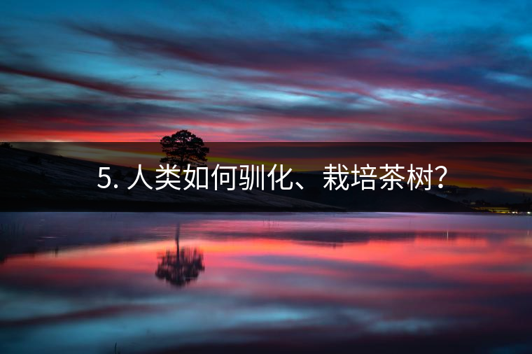 ??5. 人類如何馴化、栽培茶樹？