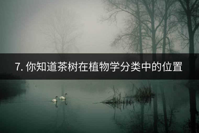 ??7. 你知道茶樹在植物學(xué)分類中的位置嗎？