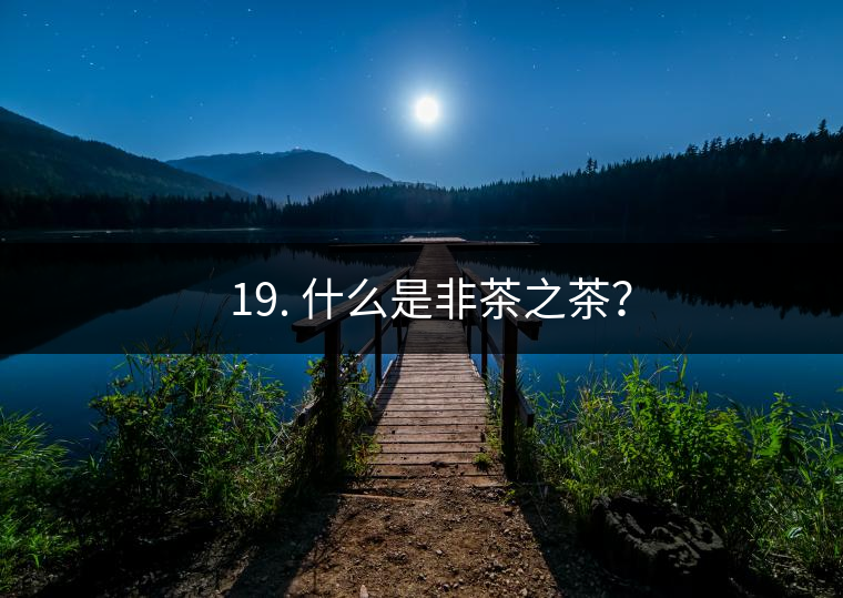 ? 19. 什么是非茶之茶？