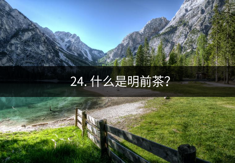 ? 24. 什么是明前茶？