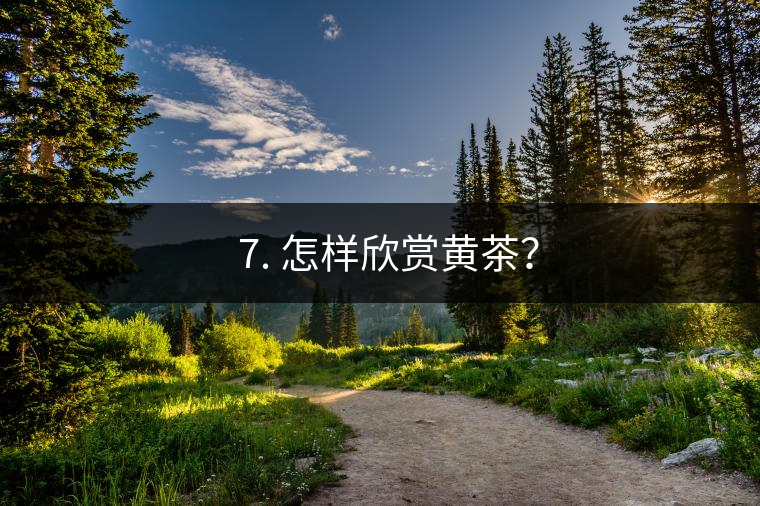 ? 7. 怎樣欣賞黃茶？