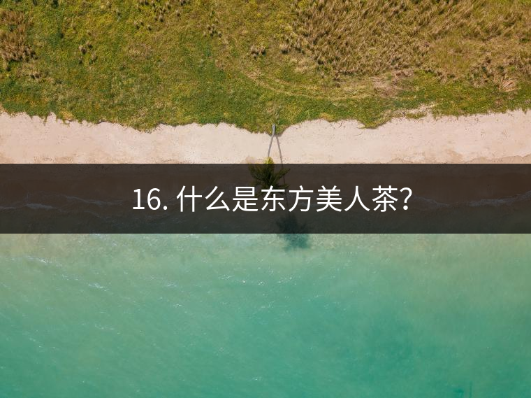 ? 16. 什么是東方美人茶？