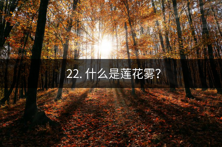 ? 22. 什么是蓮花霧？