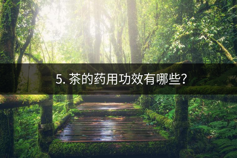 ? 5. 茶的藥用功效有哪些？