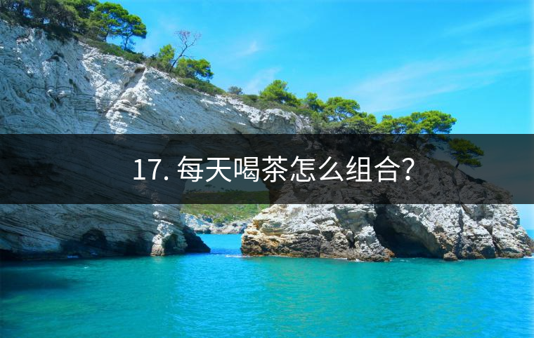 ? 17. 每天喝茶怎么組合？