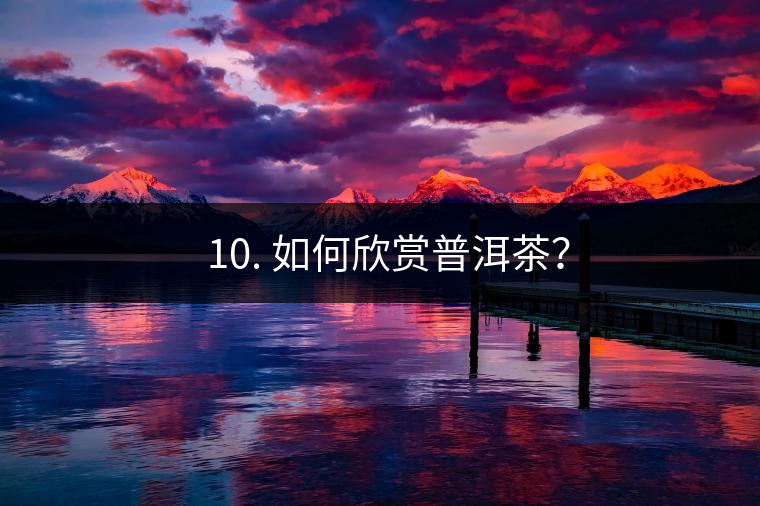 ? 10. 如何欣賞普洱茶？