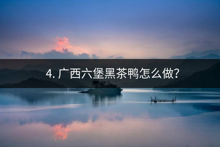 ? 4. 廣西六堡黑茶鴨怎么做？