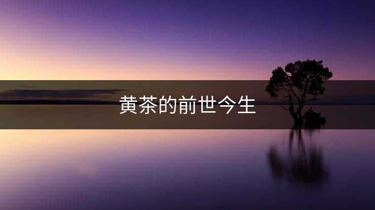 黃茶還能復(fù)興嗎? 黃茶還能復(fù)興嗎?