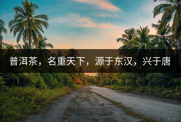 普洱茶，名重天下，源于東漢，興于唐宋，盛于明清。