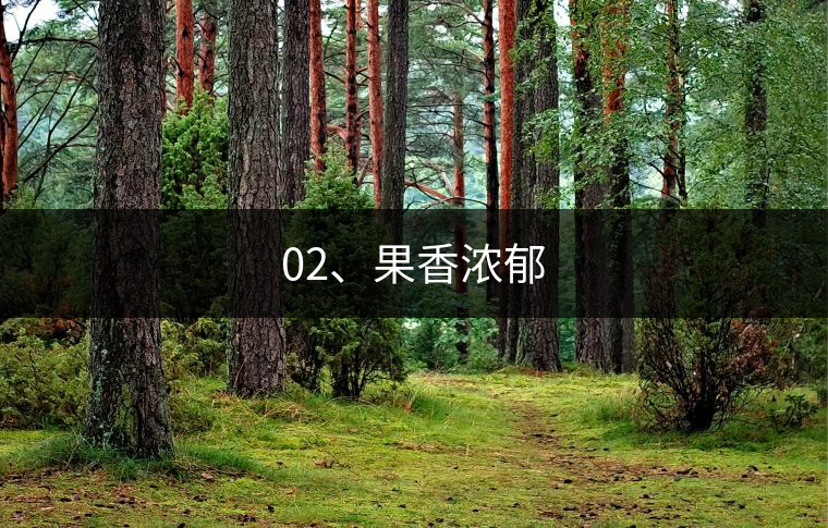 02、果香濃郁