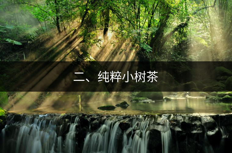 二、純粹小樹茶