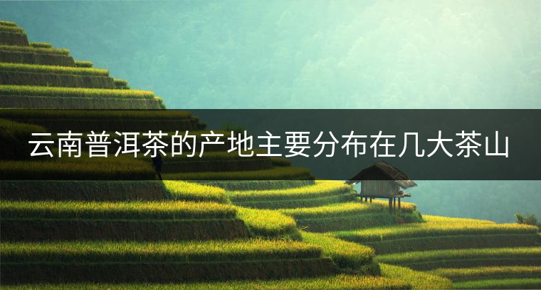 云南普洱茶的產(chǎn)地主要分布在幾大茶山，普洱茶古茶山以瀾滄江為界劃分為