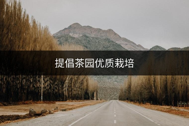 提倡茶園優(yōu)質(zhì)栽培 提倡茶園優(yōu)質(zhì)栽培