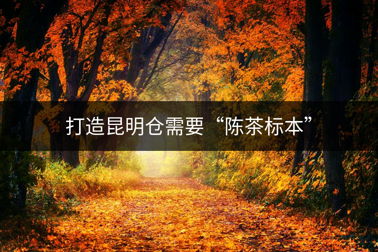 打造昆明倉(cāng)需要“陳茶標(biāo)本”