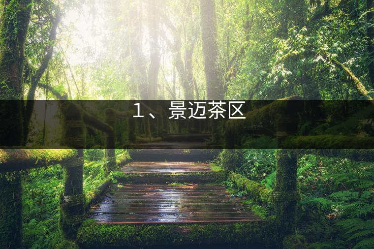 １、景邁茶區(qū)
?