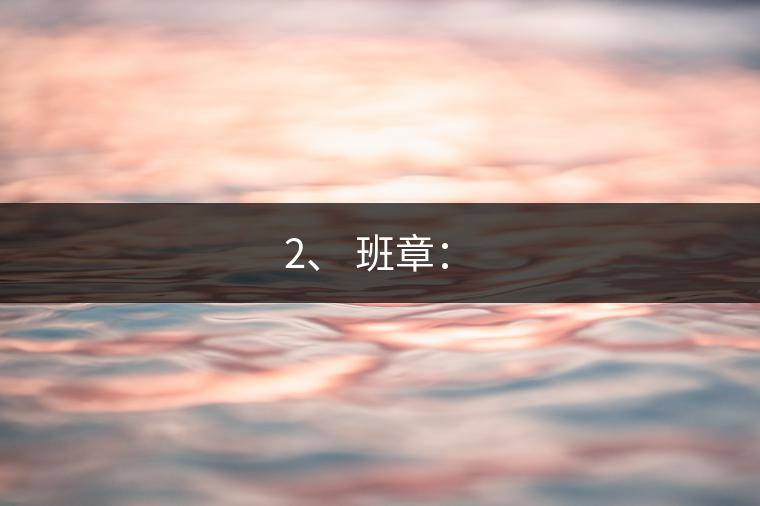 2、 班章：?