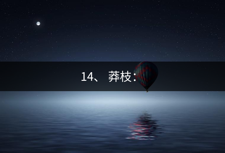 14、 莽枝：?