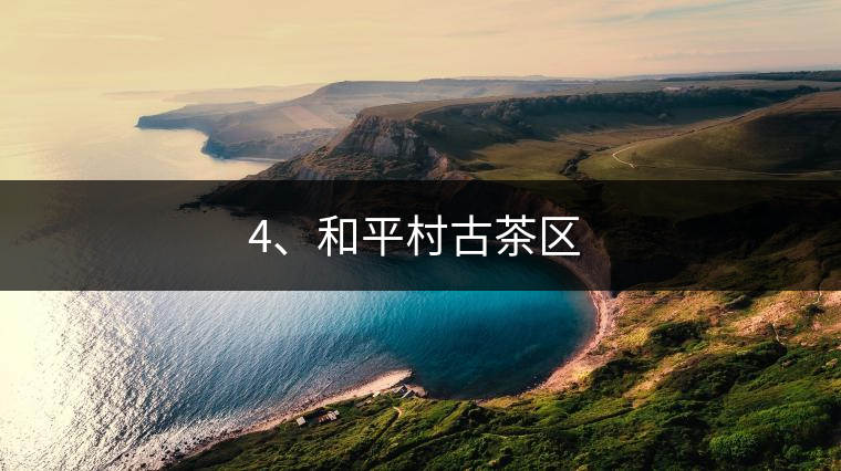 4、和平村古茶區(qū) ?