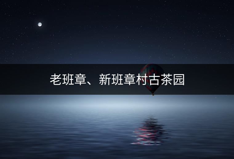 老班章、新班章村古茶園