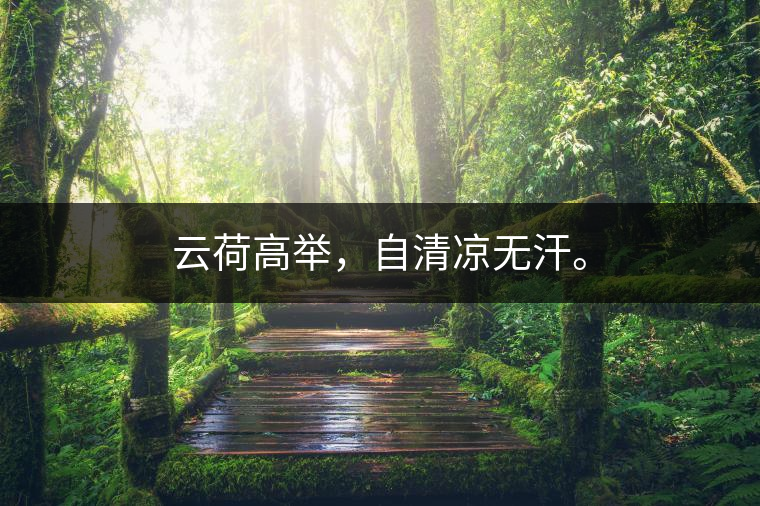 云荷高舉，自清涼無汗。