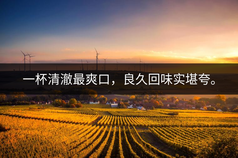 若能一日車船至，從此美名滿天涯。