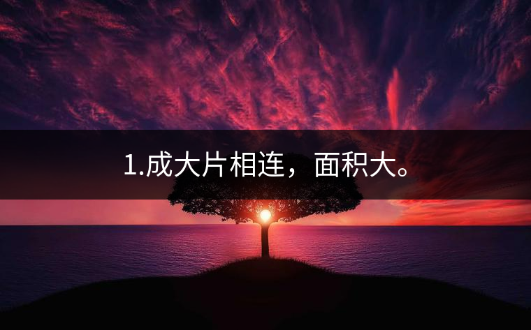 1.成大片相連，面積大。