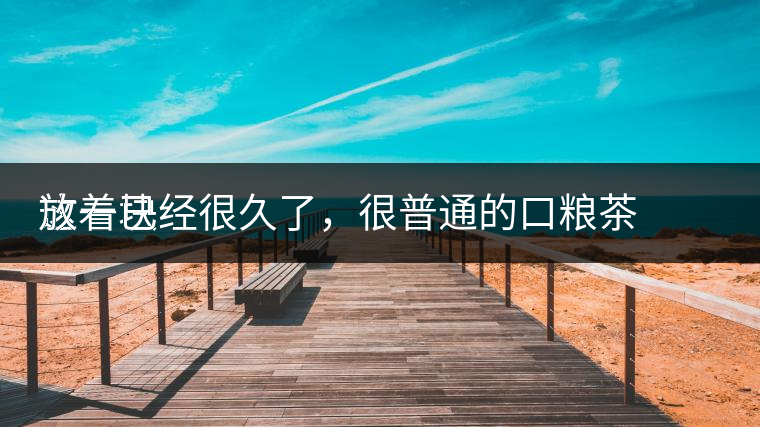 這一塊
放著已經(jīng)很久了，很普通的口糧茶，煙味很重，但回甘也可以，隨意喝喝吧。