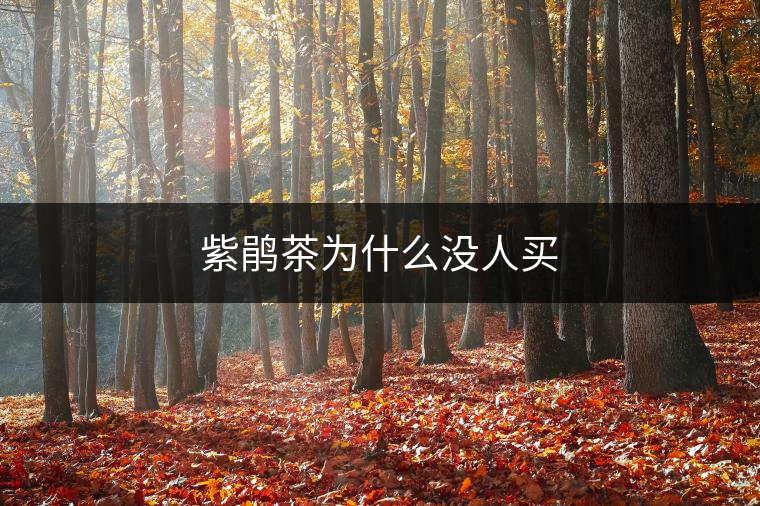 紫鵑茶為什么沒(méi)人買(mǎi)