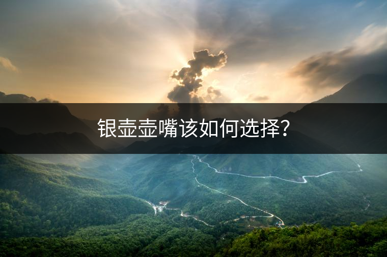 銀壺壺嘴該如何選擇？