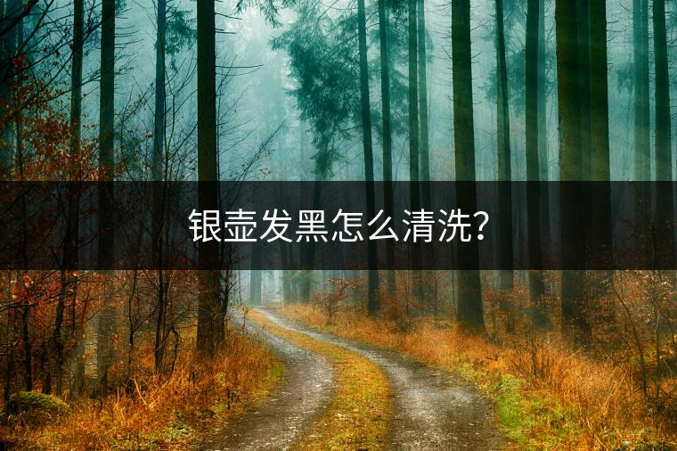 銀壺發(fā)黑怎么清洗？