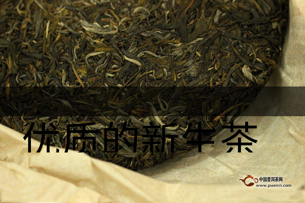 優(yōu)質(zhì)的新生茶是什么樣的？