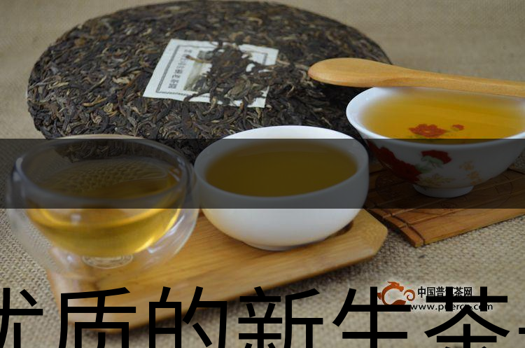 優(yōu)質(zhì)的新生茶是什么樣的？-1
