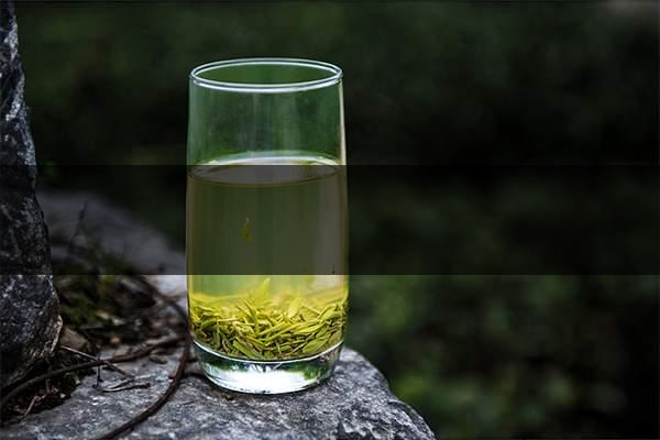 pick春茶攻略！