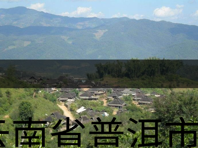 云南省普洱市茶業(yè)概況簡(jiǎn)述（二）