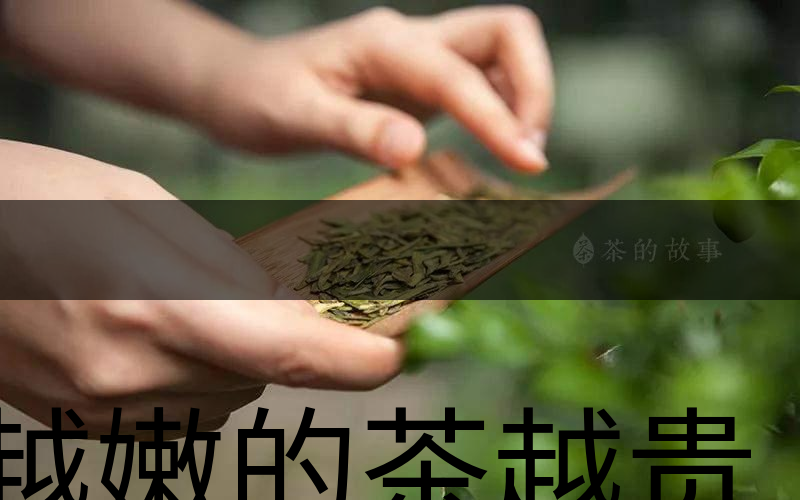 越嫩的茶越貴，但越貴的茶就越好嗎？