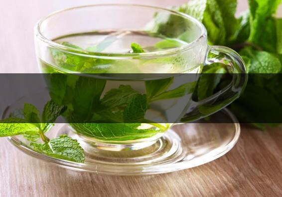 怎樣用薄荷炒茶葉-1