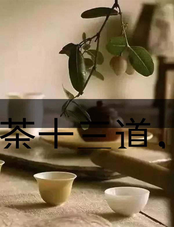 喝茶十三道，道道皆精華！-2