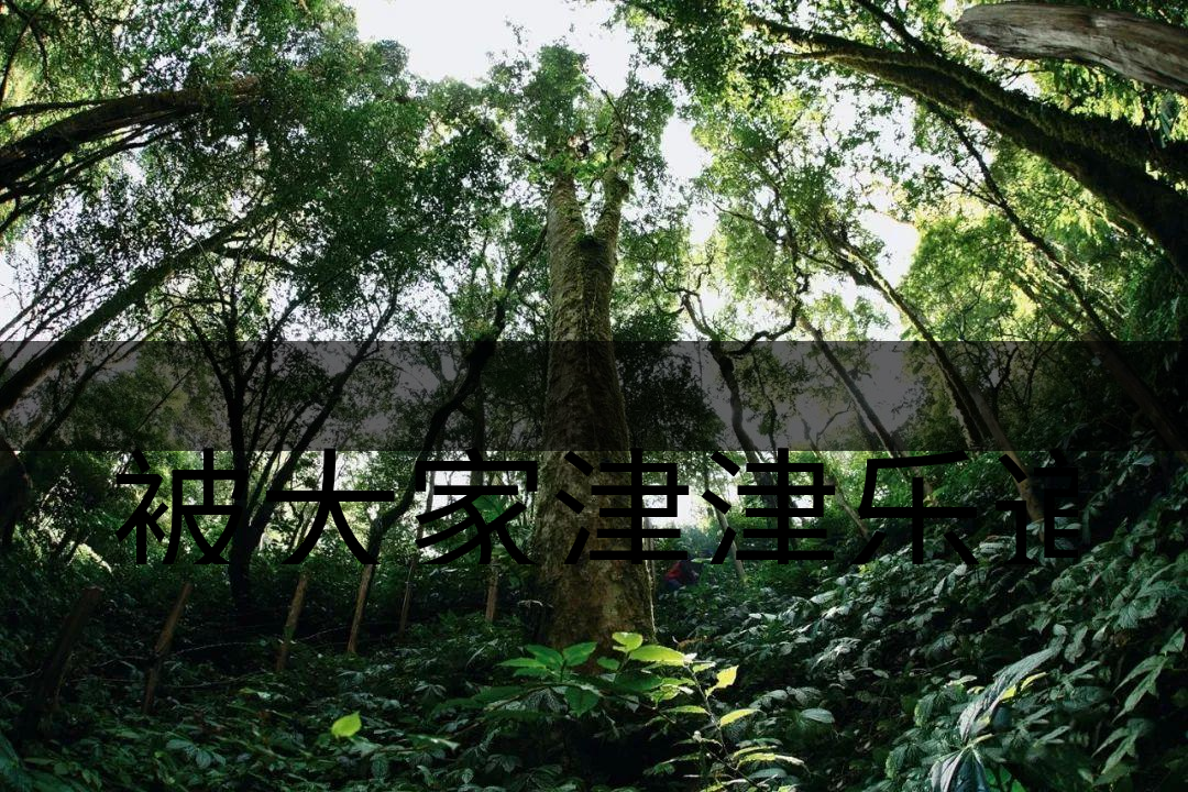 被大家津津樂道的森林茶，你知道是什么？-6-1