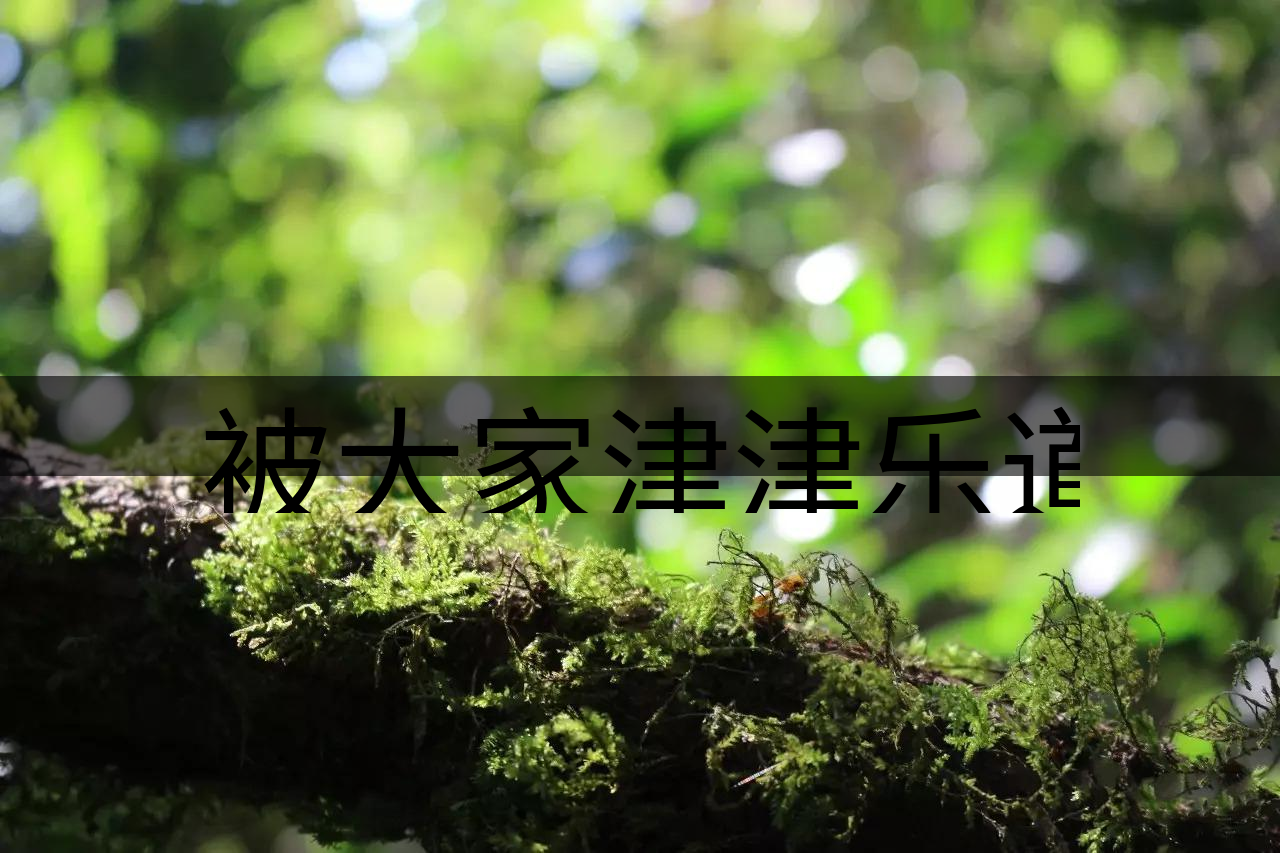 被大家津津樂道的森林茶，你知道是什么？-8-1