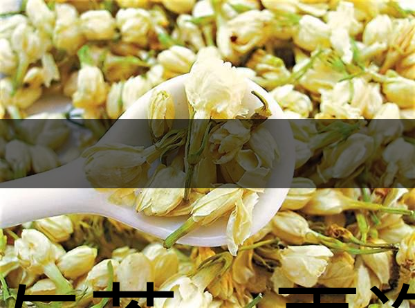 花與茶，再造茉莉之都——福州-1