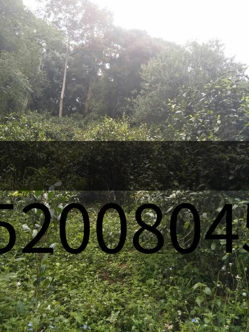 u15200804593285045762fm15gp0