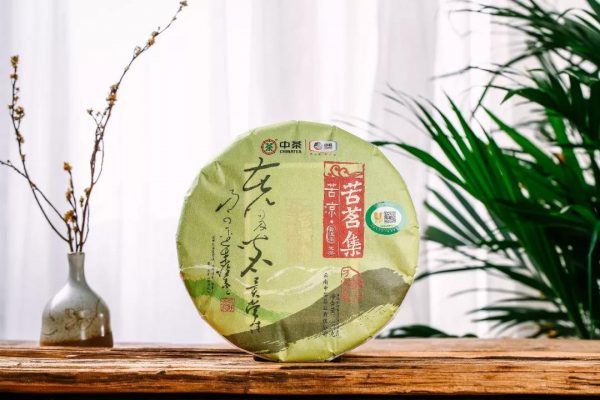 中茶苦涼 | 干倉陳化，湯厚味苦